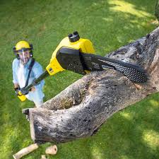 Best Pest Control for Lawns  in Coarsegold, CA